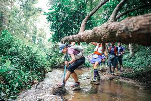 BIB: 
                            <button type="button" onclick="openModal(25373377)" class="btn btn-primary btn-sm float-right btn-popup" data-toggle="modal" data-target=".modal-high-quality">
                        <i class="fas fa-shopping-cart"></i> Add to Cart
                    </button>
                                            <button type="button" onclick="isThisMe(25373377, true)" class="btn btn-success btn-sm float-right btn-popup btn-isme hidden" data-toggle="tooltip" data-placement="bottom" title="นี่คือรูปของคุณใช่ไหม คลิกที่นี่เพื่อเอาเข้าอัลบั้ม">
                        <i class="fas fa-plus"></i> Add to album
                    </button>
                    <button type="button" onclick="isThisMe(25373377, false)" class="btn btn-warning btn-sm float-right btn-popup btn-isnotme hidden">
                        <i class="fas fa-ban"></i> Remove from album
                    </button>